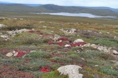 Dalton Hwy