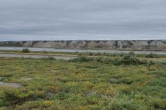 Sagavanirktok River