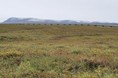 Dalton Hwy
