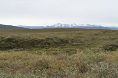 Dalton Hwy