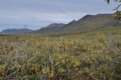 Dalton Hwy