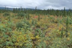 Dalton Hwy