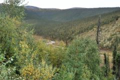 Steese Hwy