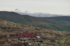 Eagle Summit