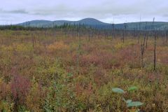 Chena Hot Springs Road