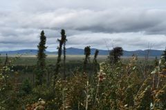 Chena Hot Springs Road