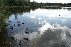Anchorage Westchester Lagoon