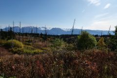 Kachemak Bay