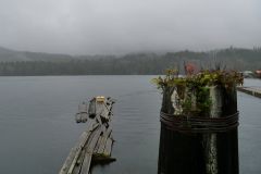 Winter Harbour