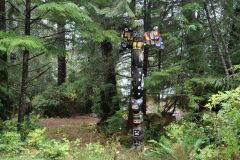 Kwaksistah Campsite