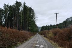 Winter Harbour Road
