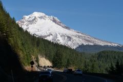 Mt Hood