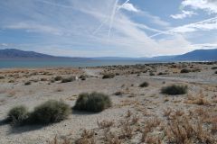 Walker Lake