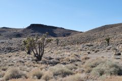 Hwy 95