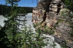 Icefields Parkway Athabasca Falls