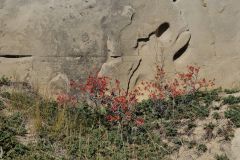 Writing on Stone