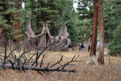 Sculptures in the Wild Patrick Dougherty USA