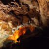 phoca thumb m cueva de los verdes6