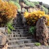 Jameos del Agua