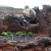 Kaktusgarten